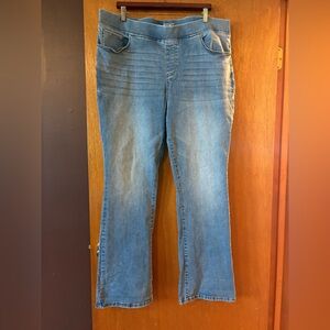 Terra & Sky Bootcut Denim Pull On Jeans ❄️